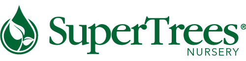 Supertrees Logo